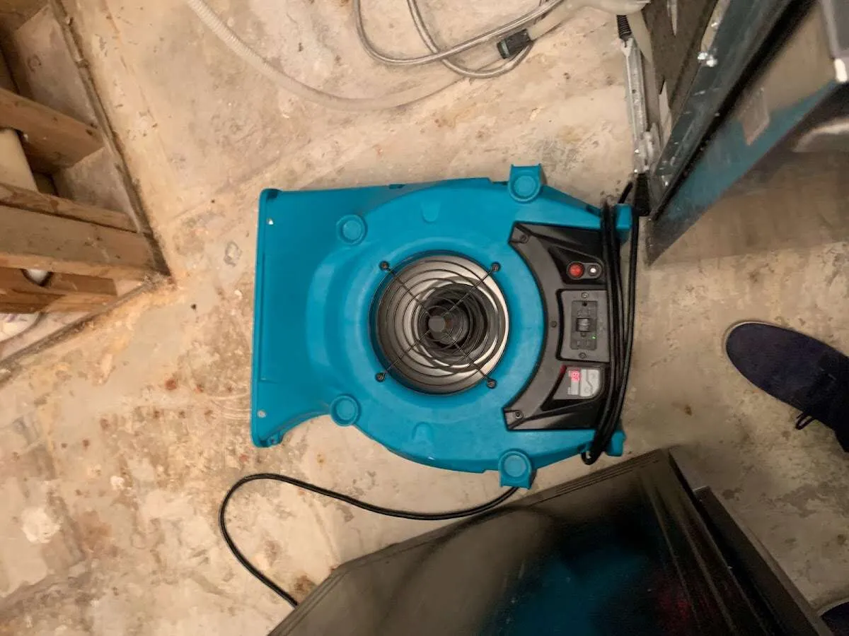 Air mover drying equipment for Mold Remediation & Removal in Providence